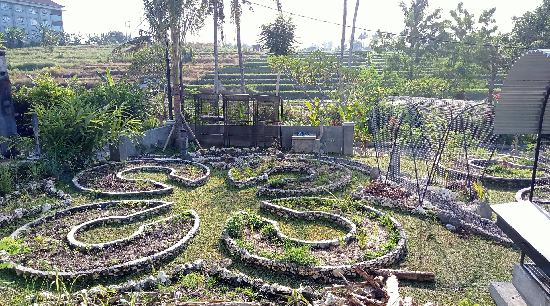 Permaculture garden in Penatih, Denpasar, Bali