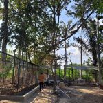 Saba, Gianyar, Bali, Indonesia regenerative permaculture food forest