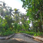 Saba, Gianyar, Bali, Indonesia regenerative permaculture food forest