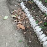 Saba, Gianyar, Bali, regenerative permaculture food forest