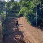 Saba, Gianyar, Bali, regenerative permaculture food forest