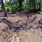 Food forest and permaculture garden in Saba, Gianyar, Bali, Indonesia